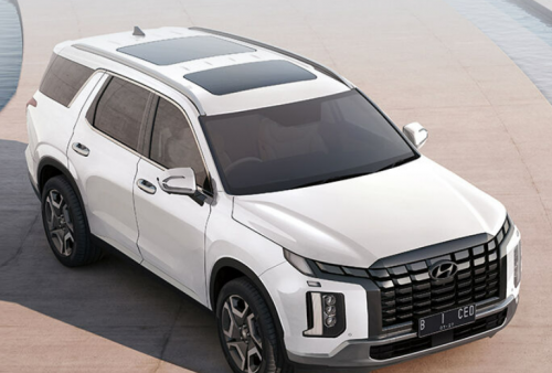 Hyundai Palisade Di Sematkan  Electro Chromic Mirror Untuk Spion Kabin Supaya Anti Silau