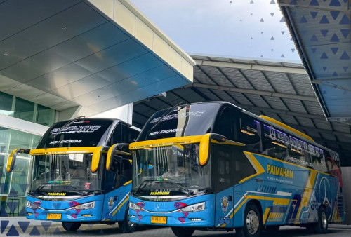 Bus Baru PO Paimaham: Kombinasi Mewah dan Teknologi Canggih dalam Layanan AKAP